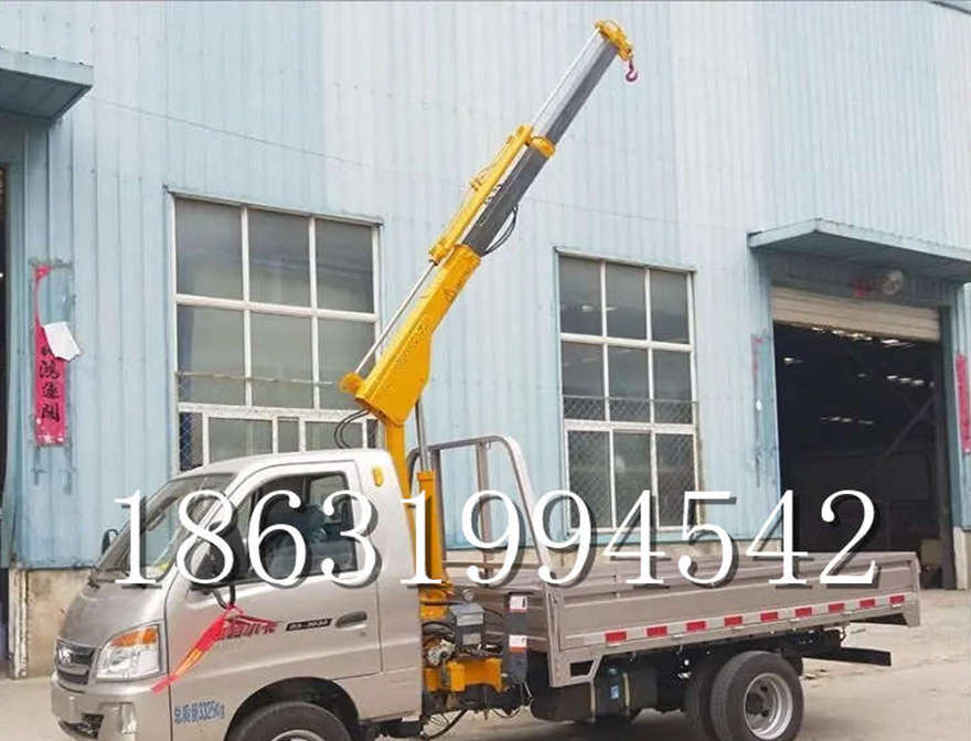南溪区车载吊机220v移动吊机全电动车载吊机搬运南溪区附近车载吊机小型移动起重机